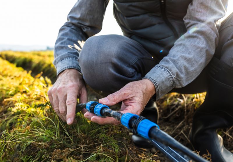 Warranty & Quality Checks